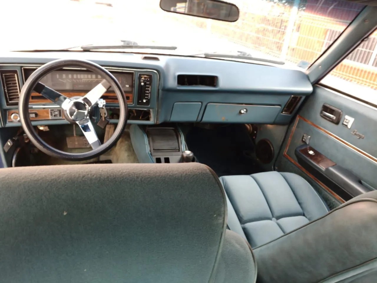 Oldsmobile Omega — фото 6